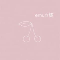 emu✩様専用 リバティ ハンドメイド オーダー ランチョンマット お弁当
