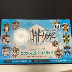 【新品未開封】アムネシアワールド トレーディングラバーストラップBOX 全12種 新品未開封】アムネシアワールド トレーディングラバー