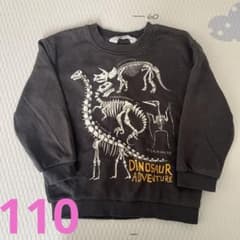 H&M 恐竜トレーナー　キッズ　ティラノサウルス　トリケラトプス