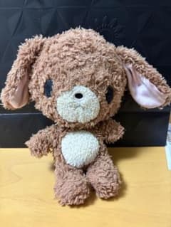 幼稚園の頃のシュガーバニーズのサムネイル