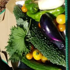 【朝採り野菜】夏野菜いろいろ詰め込みましたのサムネイル