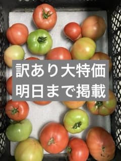 【訳あり大特価】トマトの詰め合わせ【7kg以上】のサムネイル