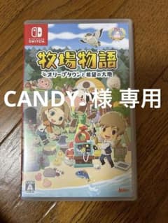 牧場物語 オリーブタウンと希望のサムネイル