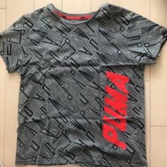 PUMA プーマ  Tシャツ 160 男の子のサムネイル