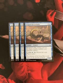 MTG 縞カワヘビ  4枚のサムネイル