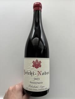 か*ず様 【日本ワイン】ドメーヌ タカヒコ パストゥグラン 2023 2本セット ドメーヌタカヒコ パスストゥーグラン2023 - メルカリ