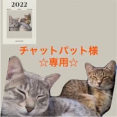 ☆専用☆チャットパット様のサムネイル