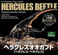 いきもの大図鑑プレミアム ヘラクレスヘラクレスのサムネイル
