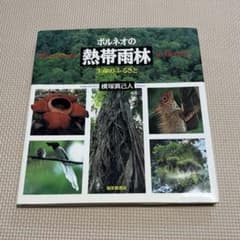 ボルネオの熱帯雨林 生命のふるさと 写真絵本のサムネイル