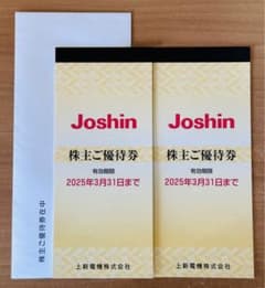 上新電機株式会社(Joshin)株主優待券 10,000円分のサムネイル