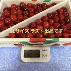 【紅王本日最終】クール便山形県産さくらんぼ やまがた紅王 2Lのサムネイル