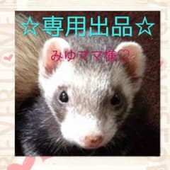 ティーライフ たんぽぽ茶のサムネイル