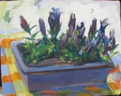 スペインの光と影,檜山健三「鉢の花」3号油彩,東京芸大小磯教室 スペインの光と影,檜山健三「鉢の花」3号油彩,東京芸大小磯教室 - メルカリ