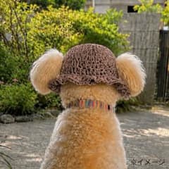 犬用帽子 耳が出るフリルハット コットン 洗える SS〜Lのサムネイル