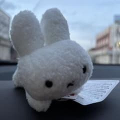ぬいぐるみのサムネイル