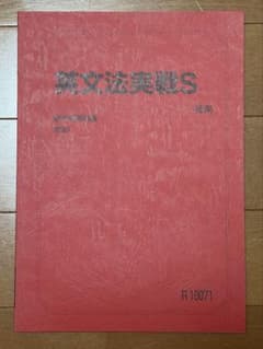 駿台 2023年度 【英文法実戦S】 未使用 美品のサムネイル