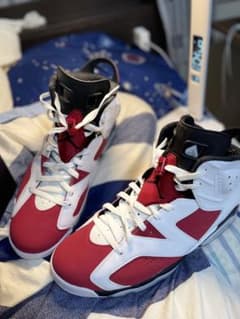 Jordan retro 6 ( carmine 2021 )のサムネイル