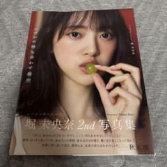 堀未央奈 2nd写真集 いつかの待ち合わせ場所のサムネイル