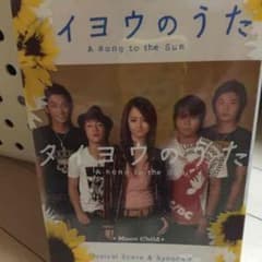 激レア◡̈⃝タイヨウのうた◡̈⃝DVDBOX♥︎沢尻エリカ、山田孝之主役