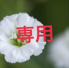 専用です！送料ぶんのサムネイル