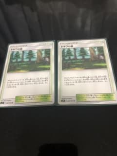 ポケモンカード トキワの森 2枚のサムネイル