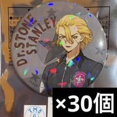 dr.stone スキマストア フライトジャケット 缶バッジ 30個 スタンリー dr.stone スキマストア フライトジャケット 缶バッジ 30個 スタンリー