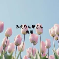 みえりん♥さん専用❤️チョコミント柄❤️ドールチャーム