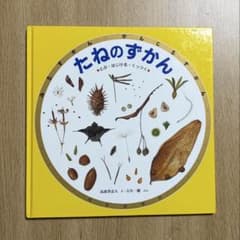 たねのずかん　福音館書店　みるずかん・かんじるずかん　金の本のサムネイル