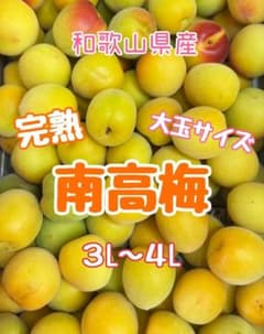 数量限定‼️完熟南高梅　大玉傷あり3L2Lサイズ　10kg みかんキング 和歌山県産 完熟南高梅‼️3L〜4L混合‼️2kg みかんキング - メルカリ