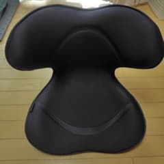 Style 骨盤・姿勢矯正クッション ダークパープルのサムネイル