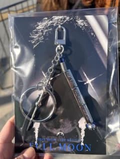 OMI 1/30 INFINITY MOON Metal Key Charm - メルカリ