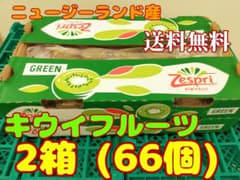 キウイフルーツ(グリーン)33個×2箱ニュージーランド産 - メルカリ