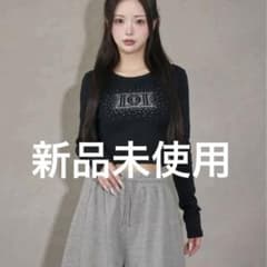 Darich ダーリッチ シャイニーDDロゴコンパクトロングTシャツ - メルカリ