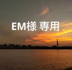 【EM様専用】焼き物皿のサムネイル