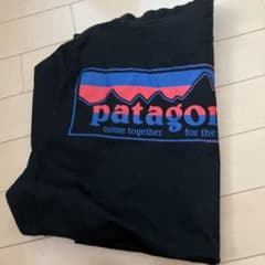 パタゴニア　Tシャツのサムネイル