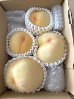 岡山県産 一宮ブランド 清水白桃 桃 家庭用 約1.6kg - メルカリ