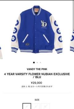 vandyのサムネイル