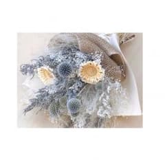 ▽ きなこ様のサムネイル