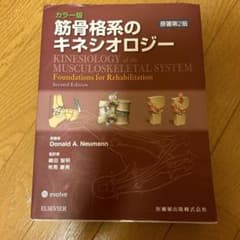 筋骨格系のキネシオロジーのサムネイル