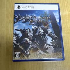 몬스터 헌터 와일즈 PS5 버전