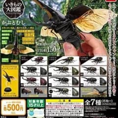 いきもの大図鑑、ヘラクレス・ヘラクレスのサムネイル
