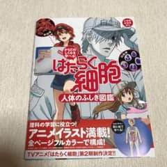 からだのしくみを学べる! はたらく細胞 人体のふしぎ図鑑のサムネイル