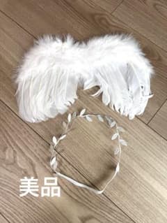 ニューボーンフォト 天使の羽 花冠 セット　ハーフバースデー　月齢フォトのサムネイル