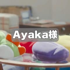 Ayaka様専用 ちょっこりさん用ぼうしのサムネイル