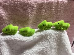 むっちり幼虫4個セット　1のサムネイル