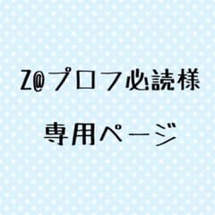 Z@プロフ必読様専用のサムネイル