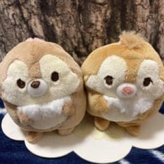 칩과 데일