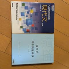 現代文 学習参考書 2冊セットのサムネイル