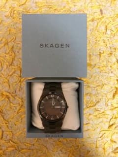 SKAGEN 腕時計　値下げ❗️のサムネイル