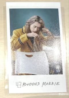EBiDAN 隣の席 BUDDiiS MORRIE 前のサムネイル